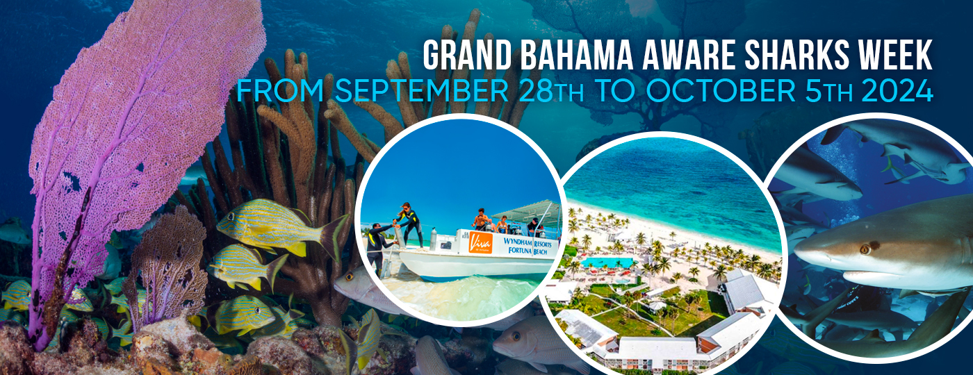 Viva Bahamas's photo